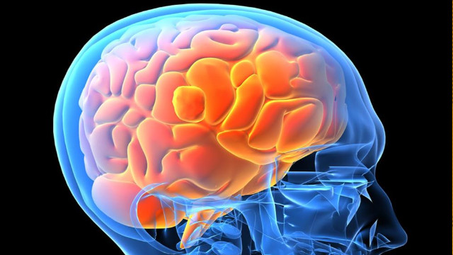 Además de los estados de conciencia y de inconsciencia, ¿podría haber un tercer estado? 22 Consciencia Además de los estados de conciencia y de inconsciencia, ¿podría haber un tercer estado?