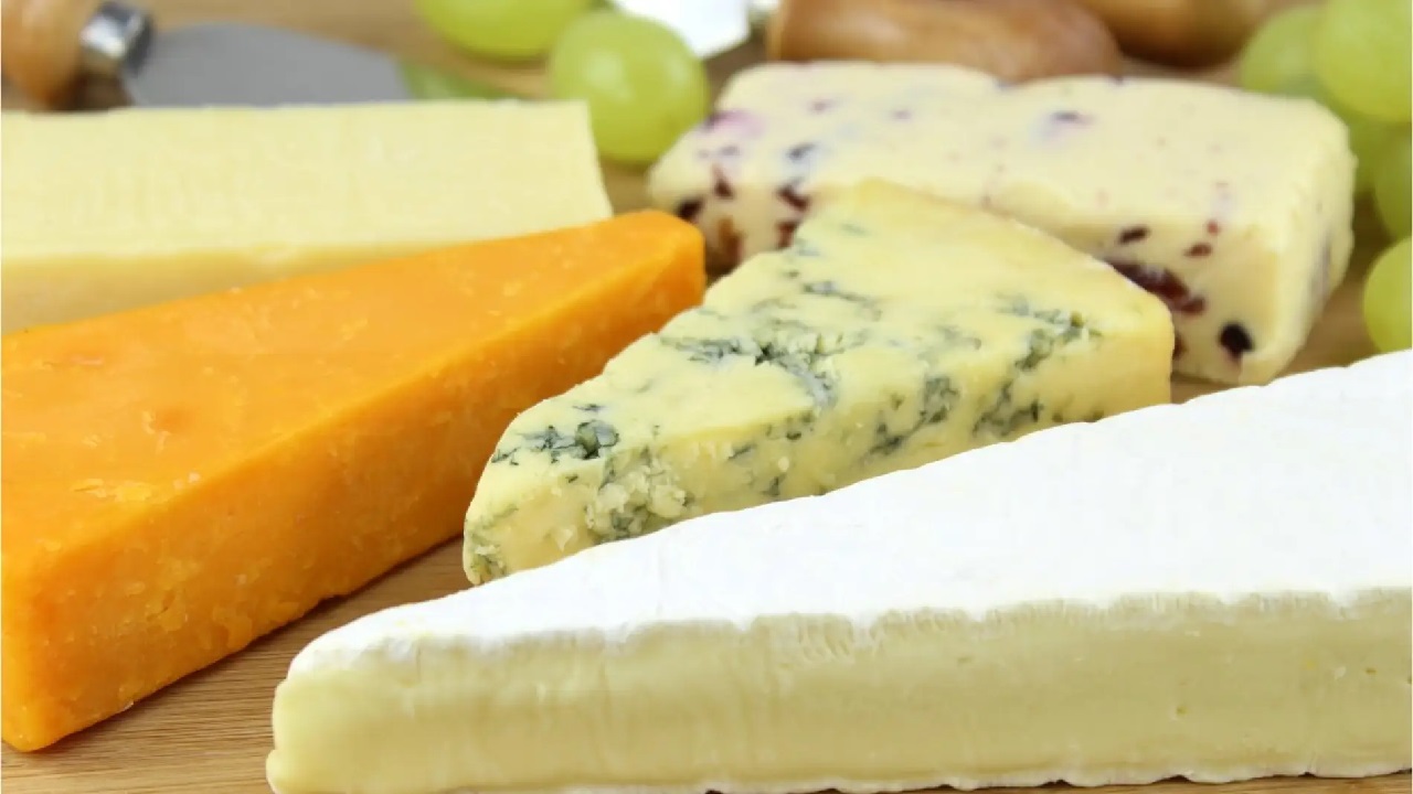 Investigadores suecos buscan el queso mozzarella perfecto 17 queso mozzarella perfecto ciencia investigación