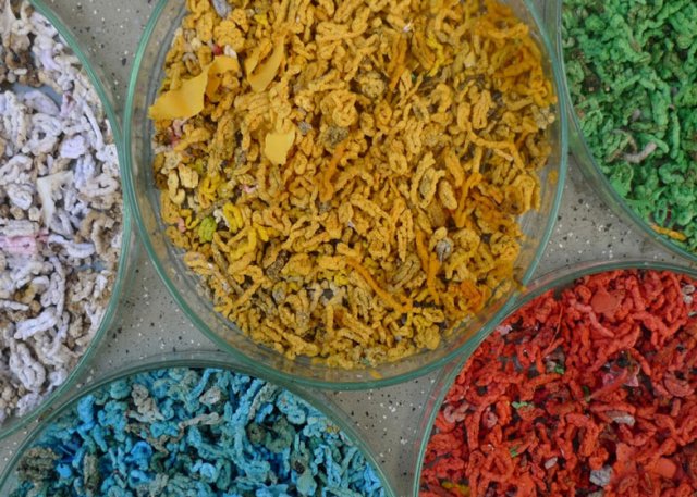 popo de caracol Un experimento consigue crear excremento de caracol de colores