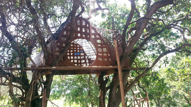 MonteMitla2 Monte Mitla: en busca de una comunidad autosustentable en México