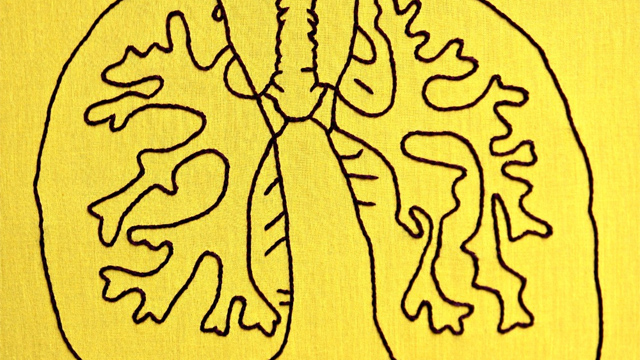 Pulmón Científicos “construyen” un pulmón humano en un laboratorio