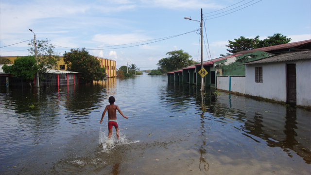 Cambio climático Adaptarse a lo desconocido: los retos del cambio climático según el IPPC