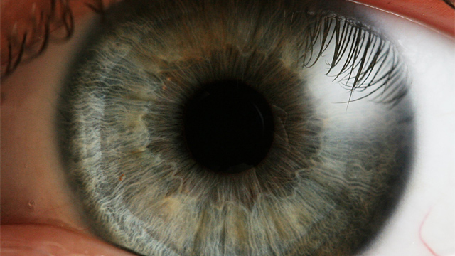 Un adolescente hace más accesible la red para personas con daltonismo 12 Internet daltonismo 02 Un adolescente hace más accesible la red para personas con daltonismo