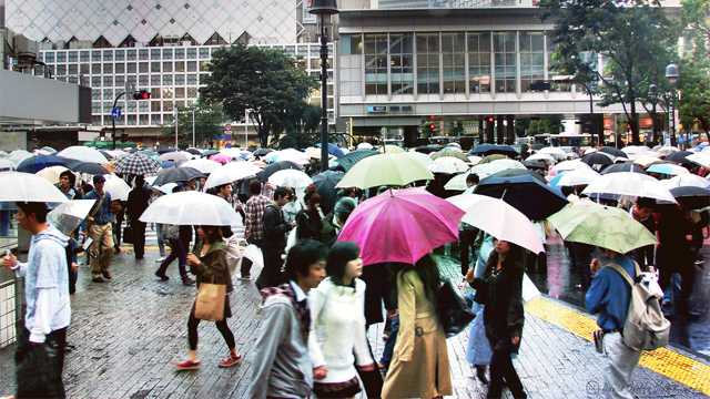 La iniciativa verde más efectiva 17 Población La iniciativa verde más efectiva