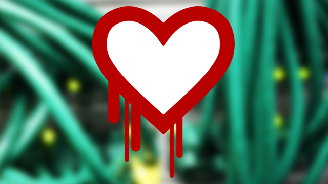 heartbleed1 ¿Qué podemos hacer ante el desastre llamado Heartbleed?
