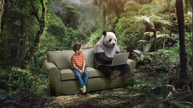 potoshop Docenas de imágenes se funden en una sola gracias a Photoshop