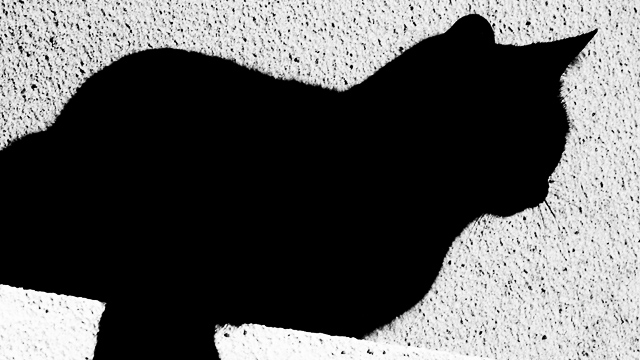 Material oscuro Una compañía británica crea el material más oscuro del mundo