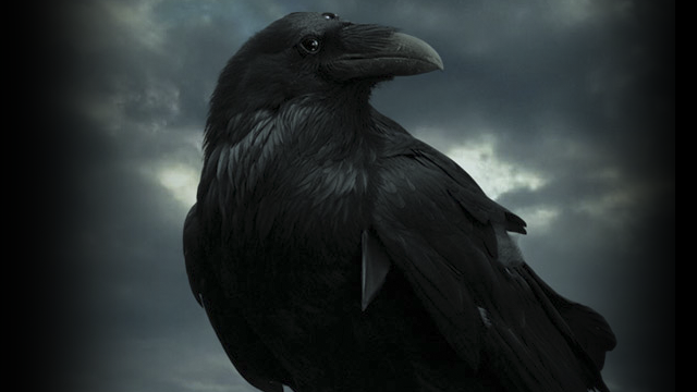 raven El teaser de la quinta temporada de Game of Thrones es una advertencia del futuro