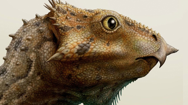 Descubren un nuevo dinosaurio del tamaño de un chihuahueño 22 dinosaurio chihuahuaeño Descubren un nuevo dinosaurio del tamaño de un chihuahueño