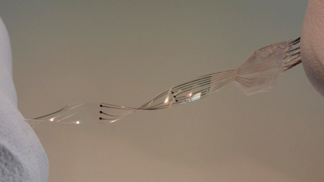 Científicos crean una prótesis flexible para ayuda a personas paralíticas 11 Prótesis Científicos crean una prótesis flexible para ayuda a personas paralíticas