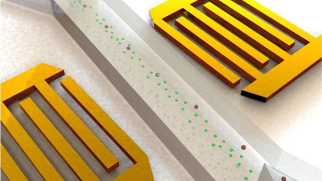 Microchip Cancerr Crean un dispositivo capaz de separar las células cancerosas de la sangre