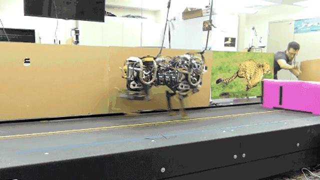 Cheetah robot El robot Cheetah del MIT ya puede saltar obstáculos