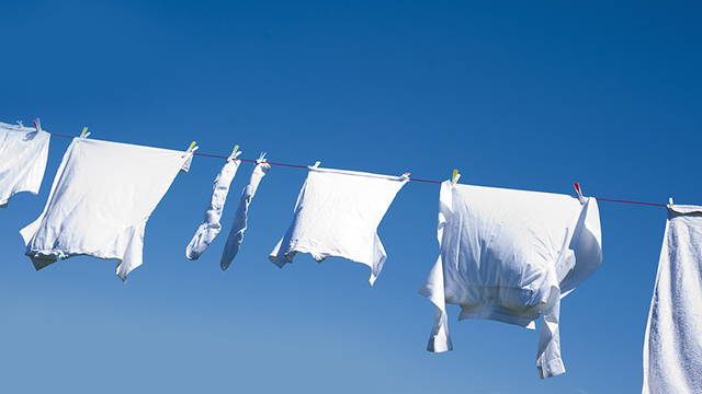 Ropa Limpia Dos estudiantes mexicanas diseñaron un sistema con bacterias para lavar ropa