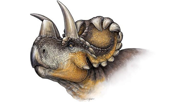 cuerno Descubren al enorme abuelo del Triceratops