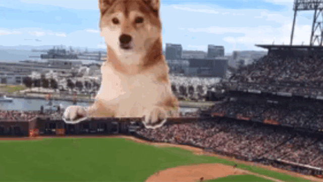 giffiti Con esta nueva app podrás añadir GIFs a tus fotos favoritas