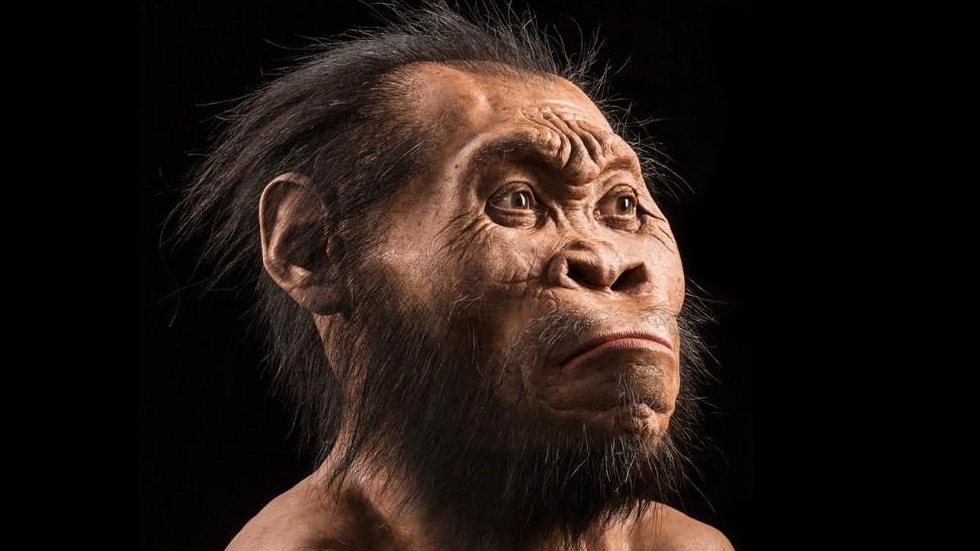 Homo naledi Éste es tu nuevo abuelo: descubren un nuevo ancestro de los seres humanos