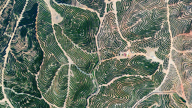 Daily Overview Estas fotos nos demuestran lo pequeña y frágil que es la Tierra