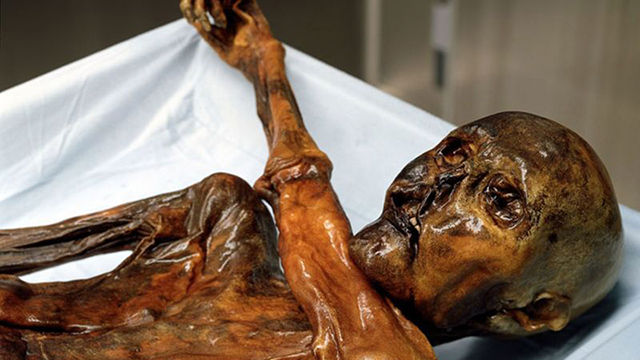 Otzi Momia Tocino Ötzi, la momia de Similaun, comía algo muy parecido al tocino