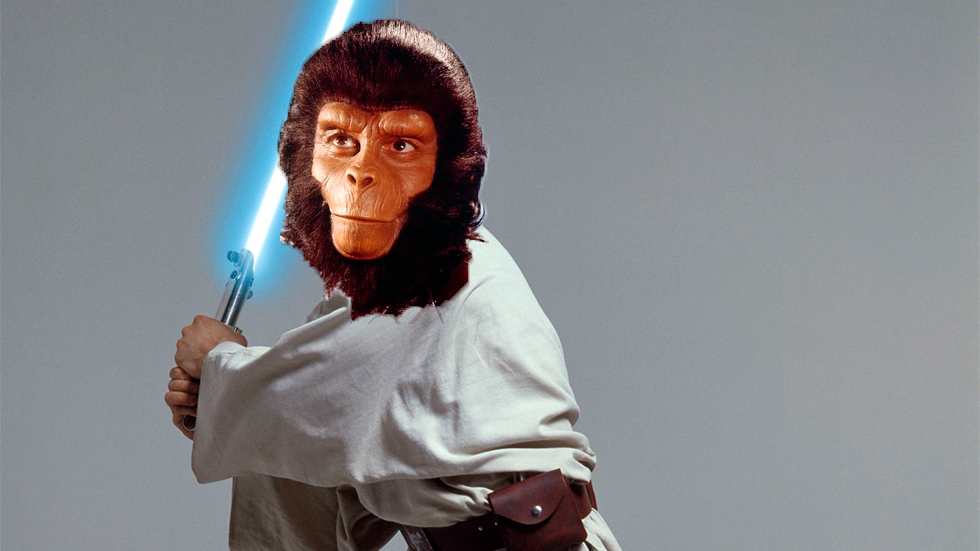 Sin título 4 Nombran una nueva especie de mono en honor a Luke Skywalker