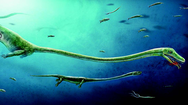 Dinosaurio fósil 1 Encuentran fósil de reptil prehistórico que paría como los mamíferos