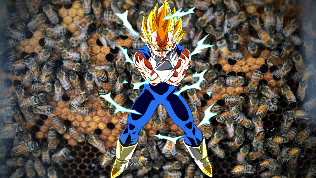 Niño sobrevive a la picadura de 400 abejas africanas “elevando su Ki como Vegeta” 22 vegeta 2 Niño sobrevive a la picadura de 400 abejas africanas “elevando su Ki como Vegeta”