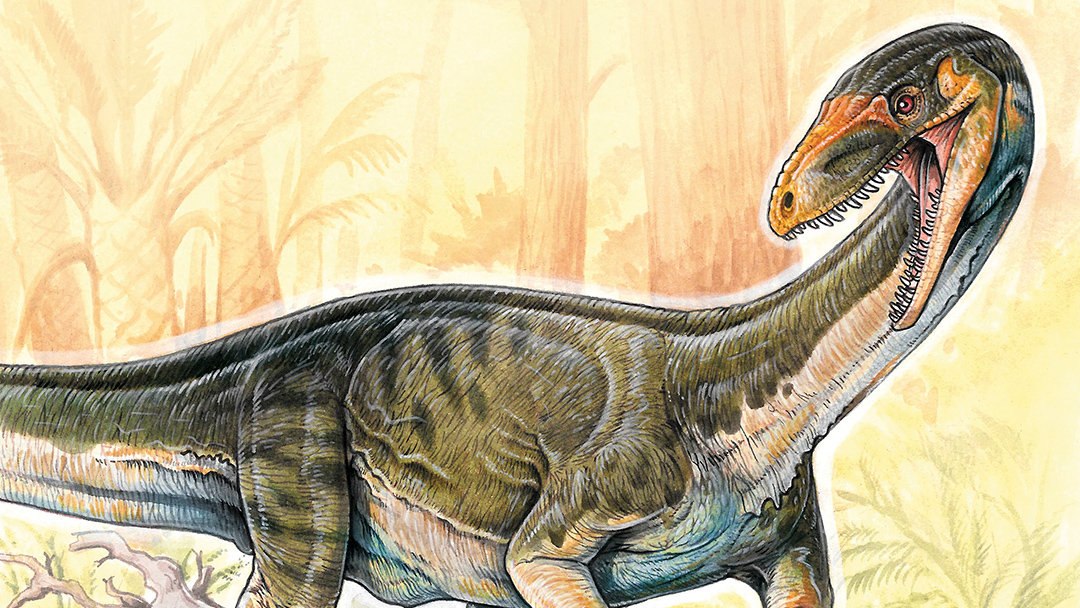 teleocrater rhadinus Descubren al eslabón perdido entre dinosaurios y cocodrilos