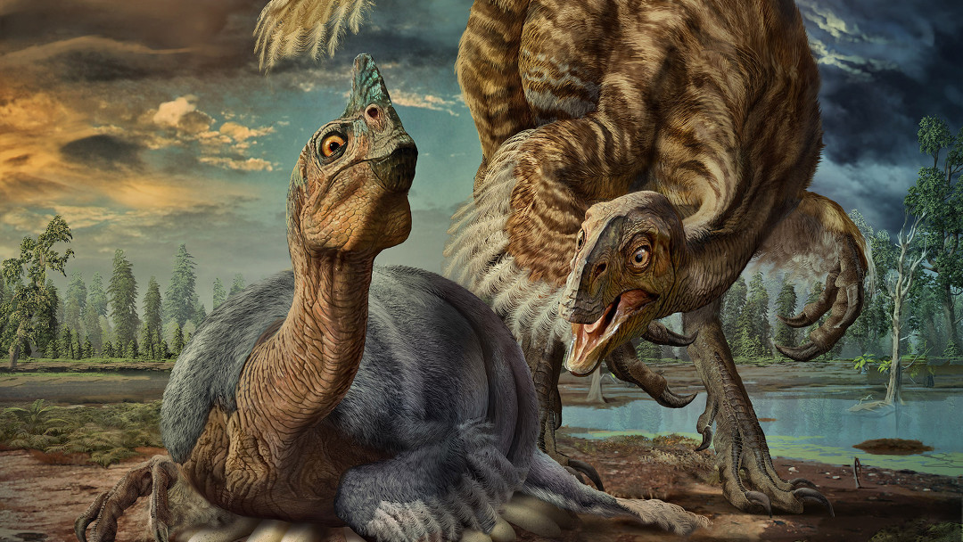 Descubren una nueva especie de dinosaurio gracias a un fósil bebé 17 Descubren una nueva especie de dinosaurio gracias a un fósil bebé