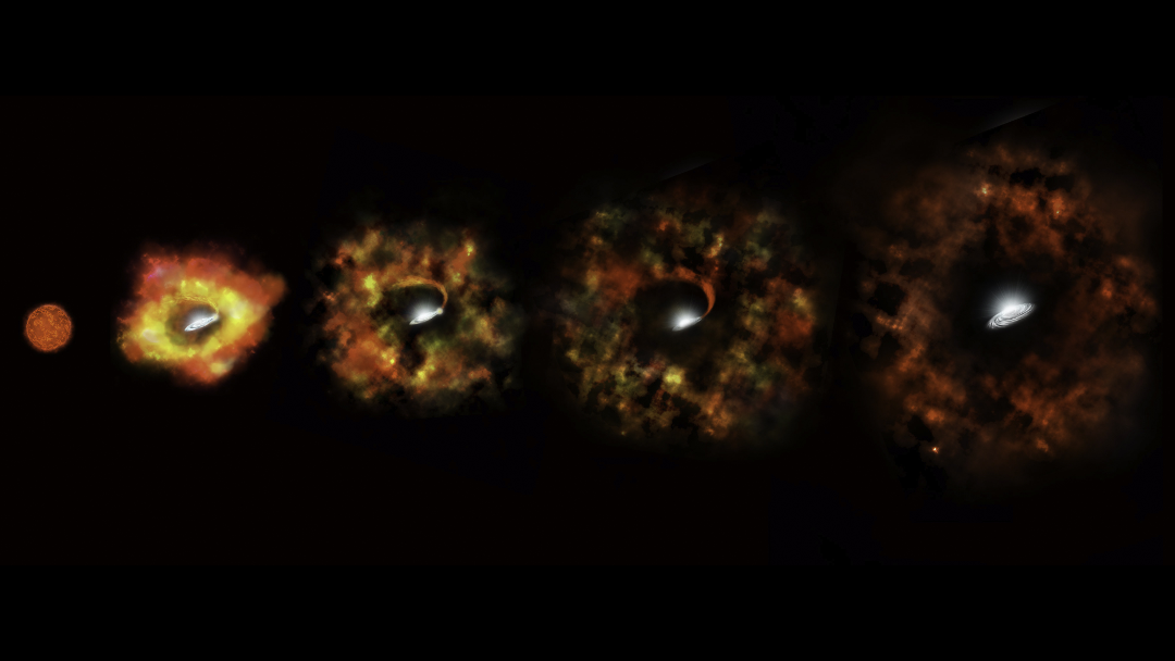 n6946 bh1 b Científicos captan el nacimiento de un agujero negro sin que la estrella se convierta en supernova