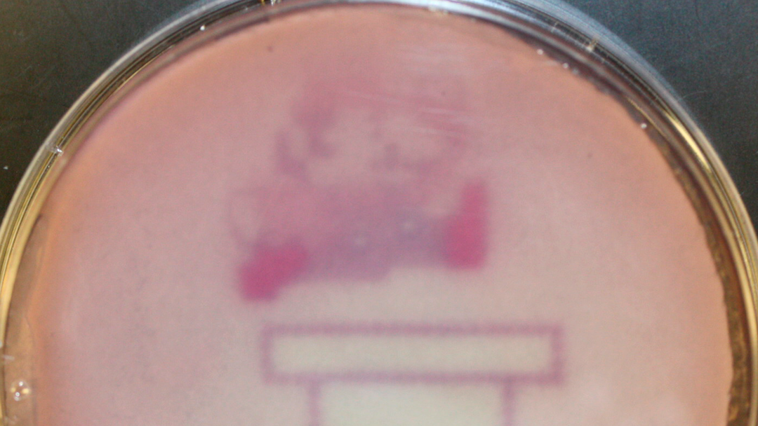 super mario Científicos con mucho tiempo libre usan bacterias para dibujar a Super Mario