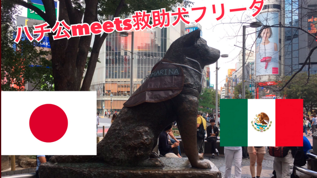 frida Mexicanos agradecen a rescatistas japoneses con un tributo en la estatua de Hachiko