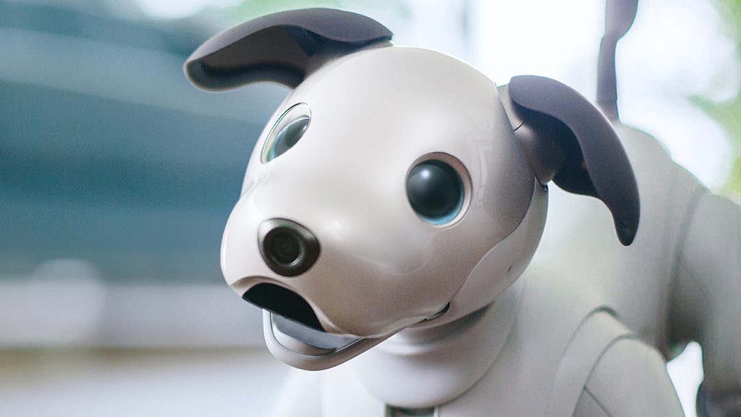 sony aibo Sony presenta la nueva versión de Aibo, el perro robot