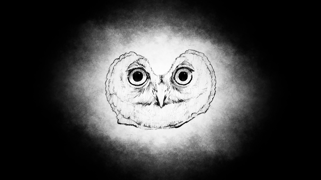 tecolote ¿Por qué el canto del tecolote es de mal agüero en México?