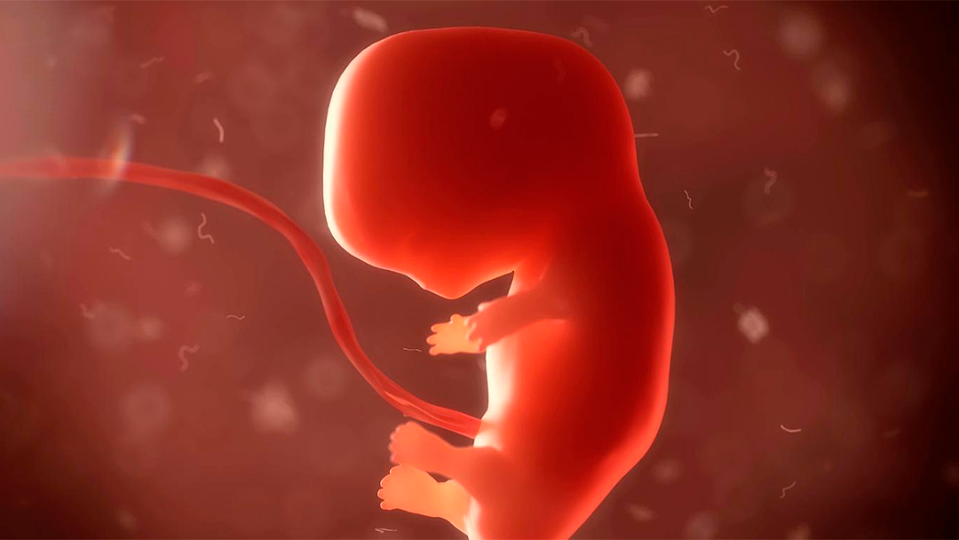 embrion Mujer tiene una hija un año menor que ella... y la ciencia es la responsable