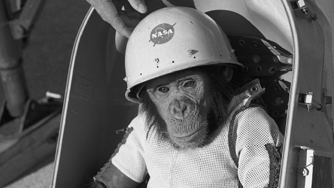 ham Ham, el primer homínido en volar al espacio exterior
