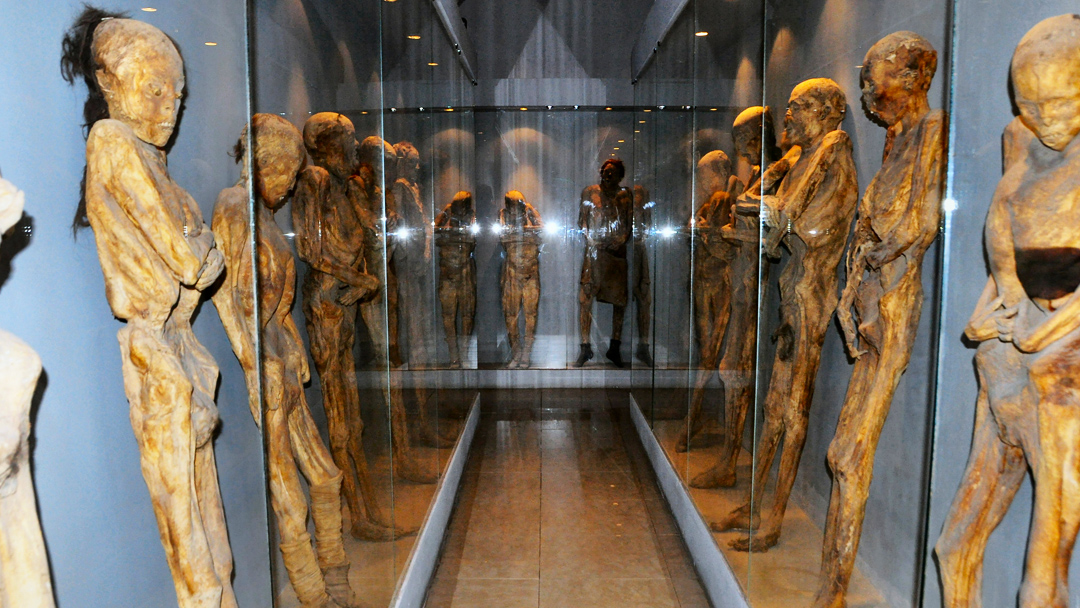 Las Momias de Guanajuato por fin están muertas... legalmente 21 momias de guanajuato Las Momias de Guanajuato por fin están muertas... legalmente