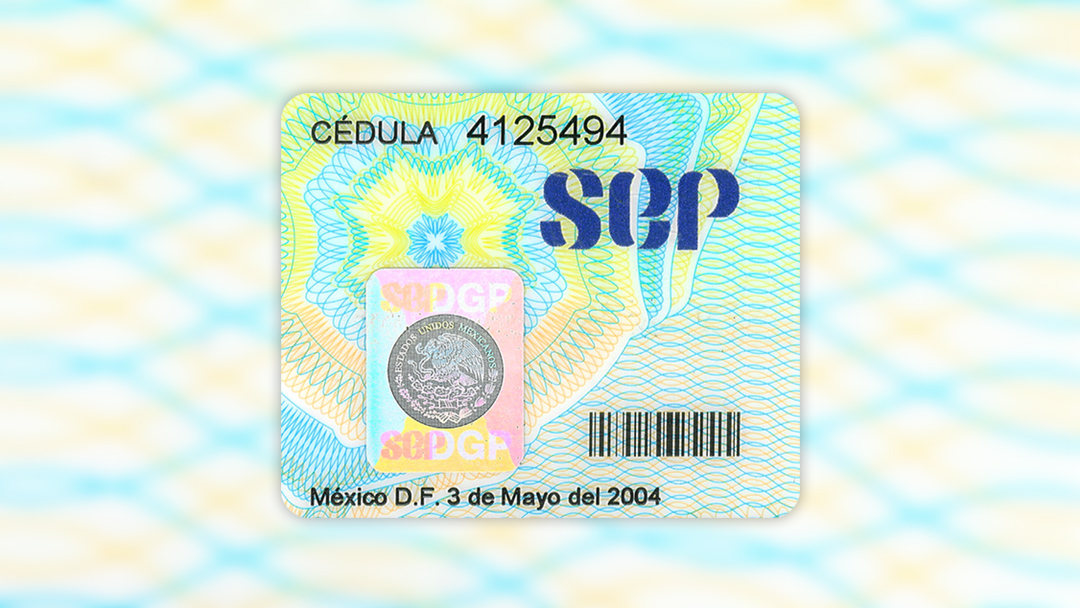 La SEP comienza a emitir cédulas profesionales en internet 20 cedula internet La SEP comienza a emitir cédulas profesionales en internet