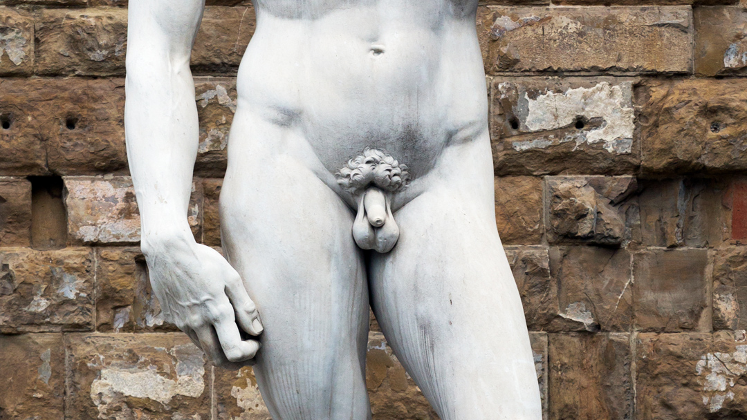 david michelangelo 2 Médicos logran el primer trasplante de pene y escroto completo de la historia