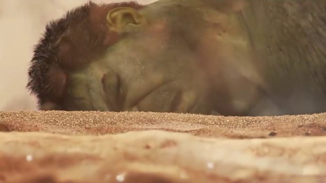 Hulk derrotado, no tenía chance contra Thanos