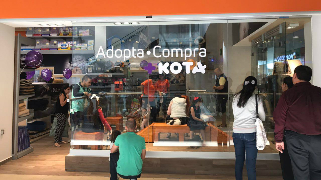 +Kota compró Petsy, el e-commerce mexicano para mascotas