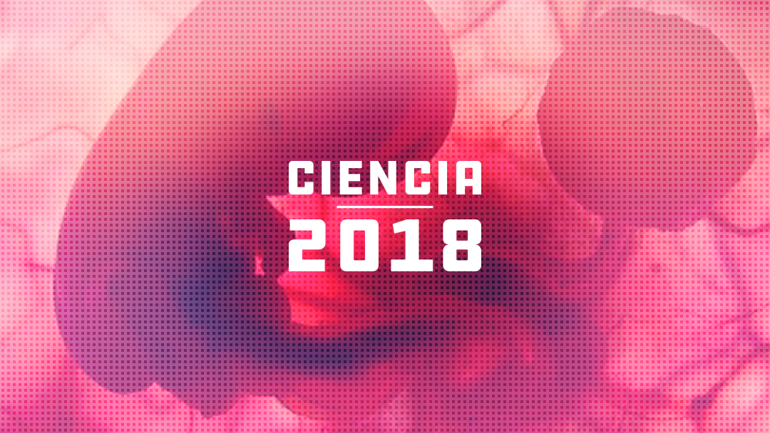 Imagen de un feto sobre lo mejor de la ciencia 2018