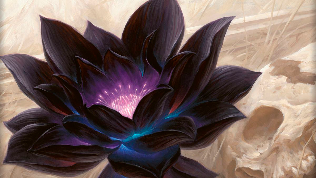 Black Lotus