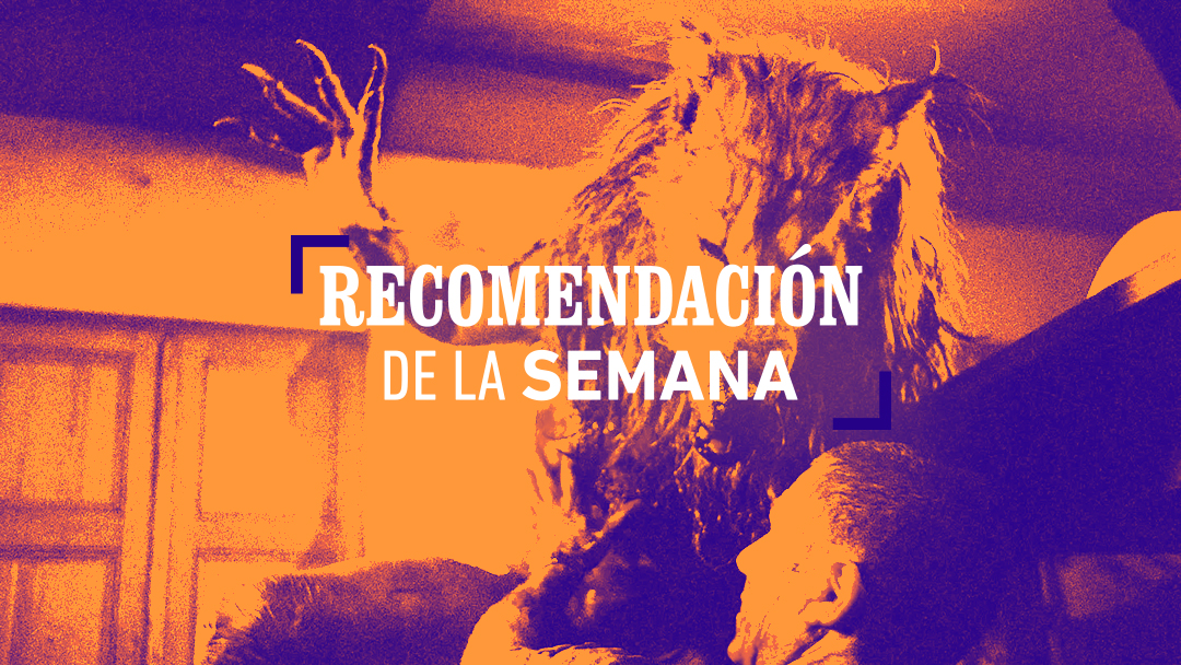 Dog Soilders- Recomendación-Semana