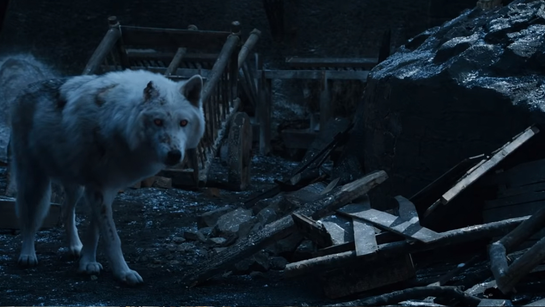 Game of Thrones, Temporada 8, Jon Snow, Ghost