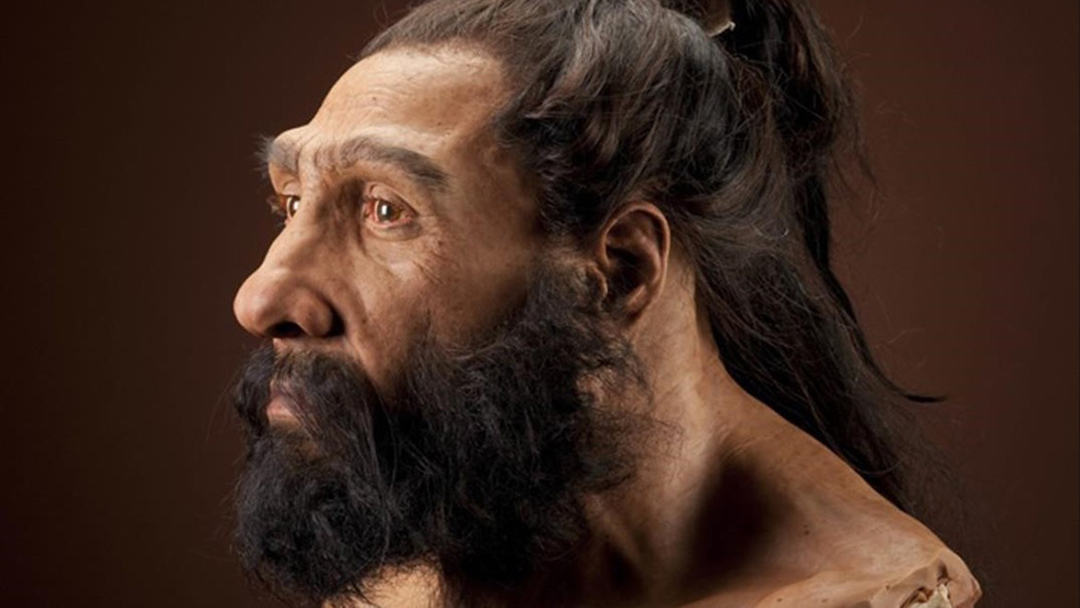 Neandertal-Esterilidad