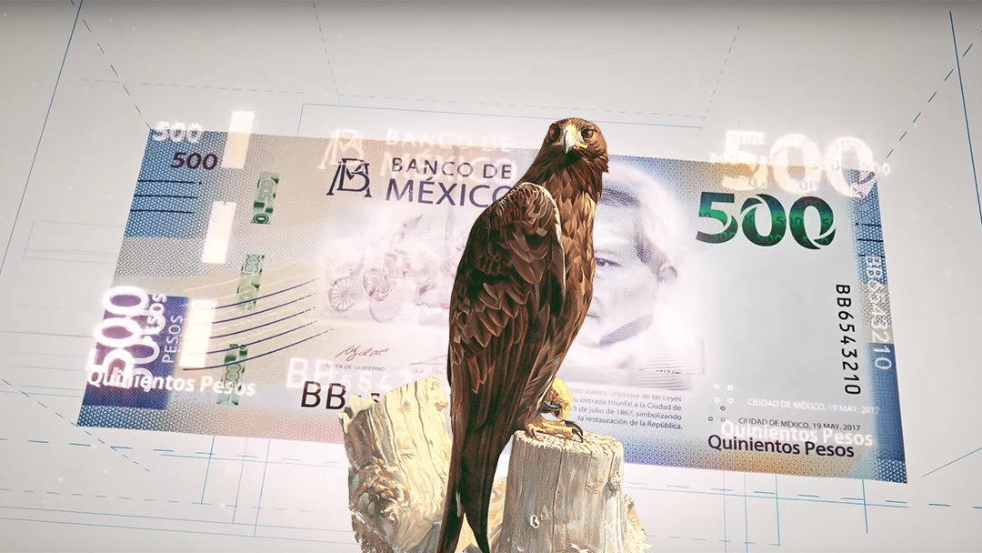 Un aguila en un billete mexicano