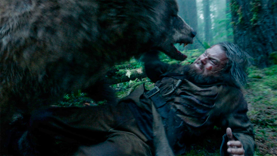 the revenant2 El video de Alexander, el hombre que sobrevivió al ataque de un oso, es falso