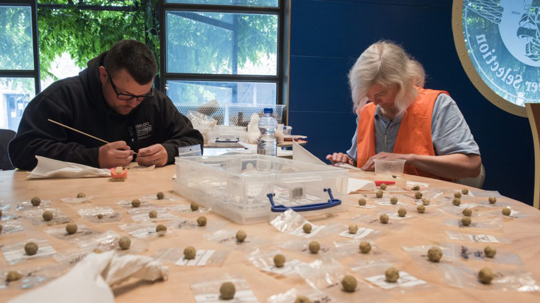 Encuentran miembros amputados y balas de mosquete de la batalla de Waterloo 19 Restos Encontrados Waterloo