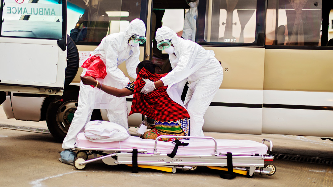 Descubren Dos Medicamentos Efectivos Contra El ébola Código Espagueti