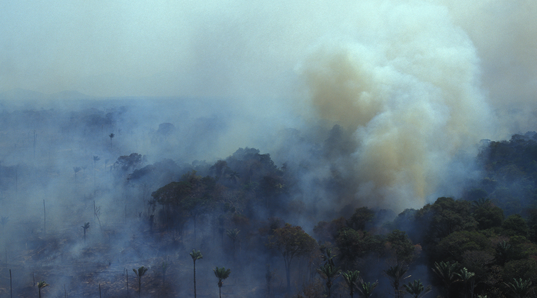 Incendio Amazonas Oxígeno