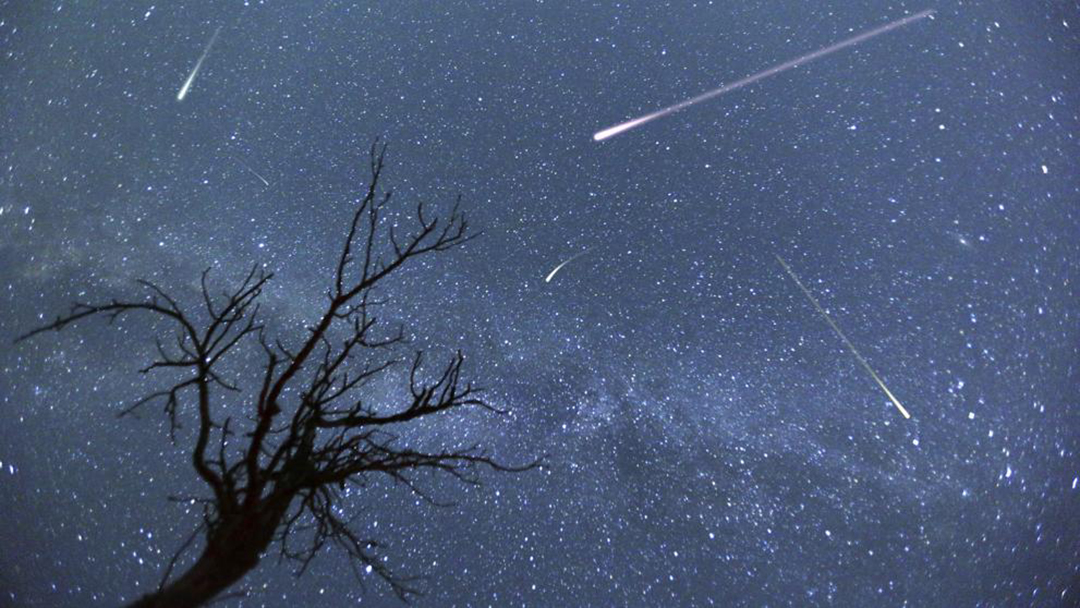 ¿Cómo ver la lluvia de Perseidas esta semana en México? 26 Lluvia Perseidas Mexico